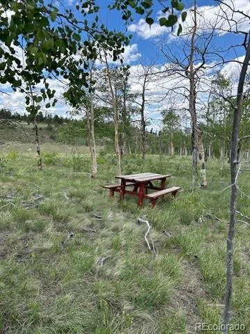 807 Bolster Drive Hartsel, CO 80449