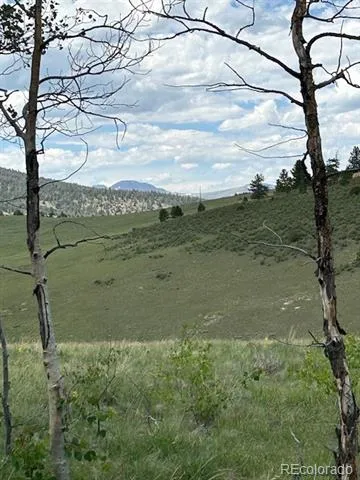 807 Bolster Drive Hartsel, CO 80449