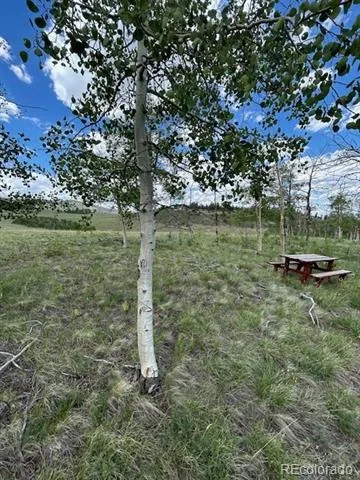 807 Bolster Drive Hartsel, CO 80449