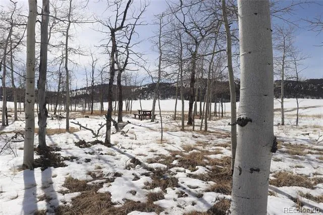 807 Bolster Drive Hartsel, CO 80449
