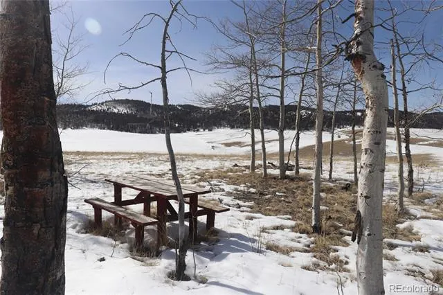 807 Bolster Drive Hartsel, CO 80449