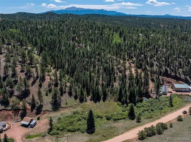 1676 Pathfinder Road Florissant, CO 80816