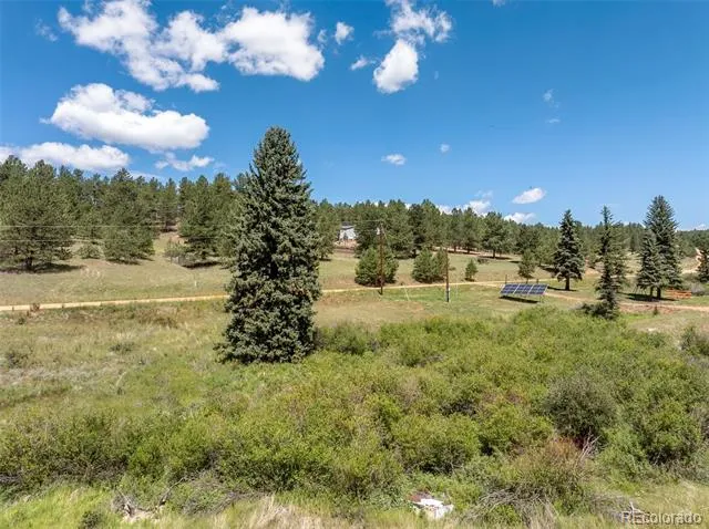 1676 Pathfinder Road Florissant, CO 80816