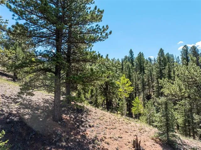 1676 Pathfinder Road Florissant, CO 80816