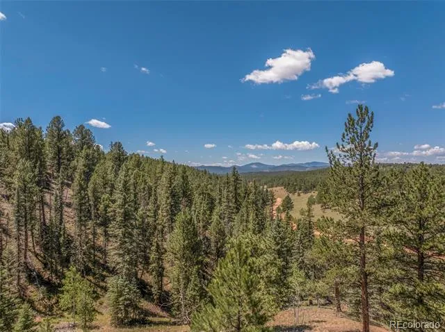 1676 Pathfinder Road Florissant, CO 80816