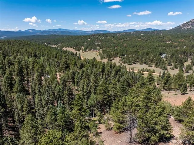 1676 Pathfinder Road Florissant, CO 80816