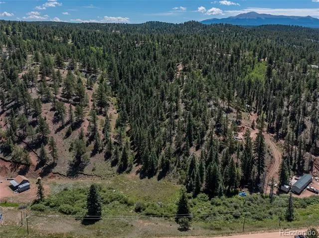 1676 Pathfinder Road Florissant, CO 80816