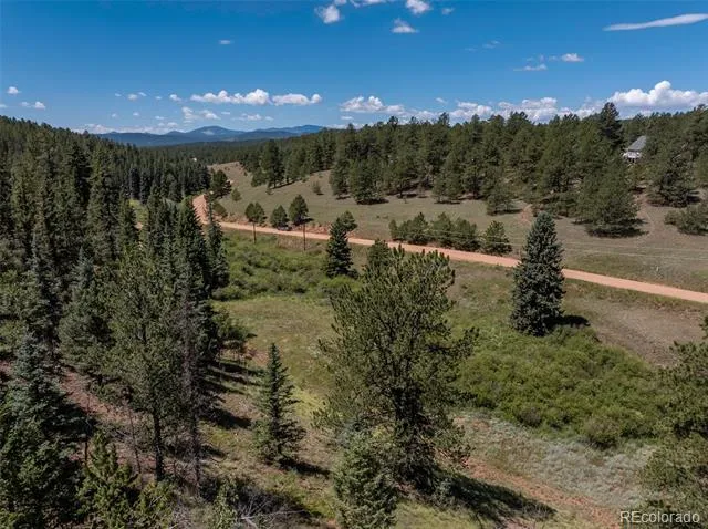 1676 Pathfinder Road Florissant, CO 80816