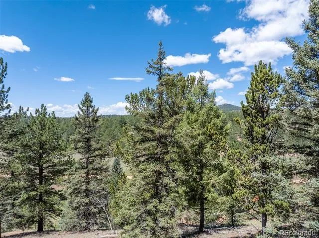 1676 Pathfinder Road Florissant, CO 80816