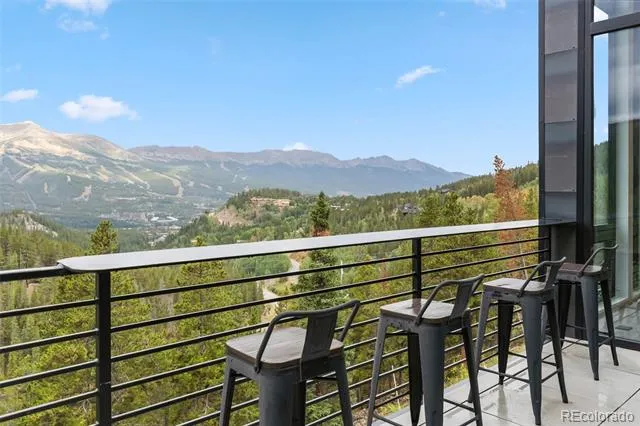 2520 Boreas Pass Road Breckenridge, CO 80424