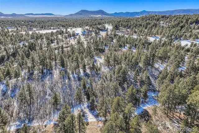 1371 Grayhawk Place Larkspur, CO 80118