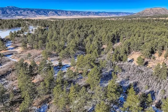 1371 Grayhawk Place Larkspur, CO 80118
