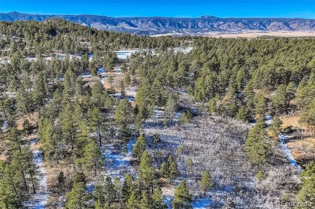 1371 Grayhawk Place Larkspur, CO 80118