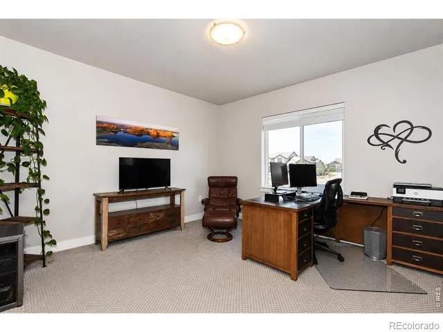 6245 Vernazza Way #3 Windsor, CO 80550
