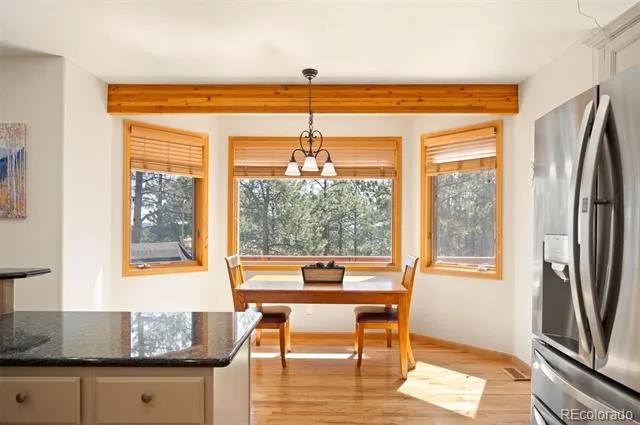29517 Gleneden Lane Evergreen, CO 80439