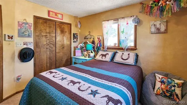 96 County Road 7 Fairplay, CO 80440