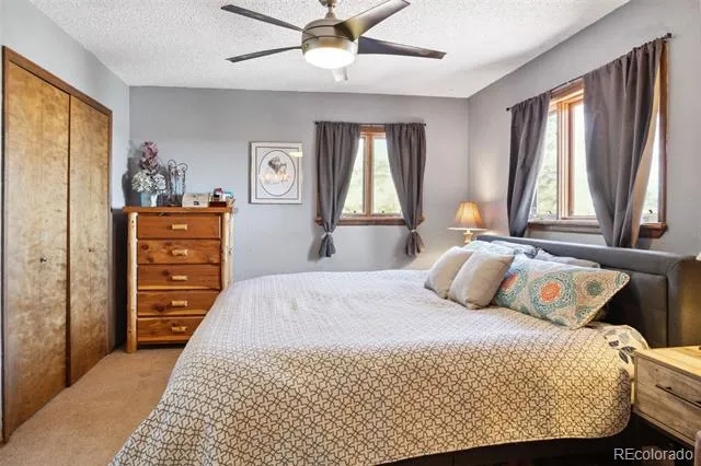 96 County Road 7 Fairplay, CO 80440