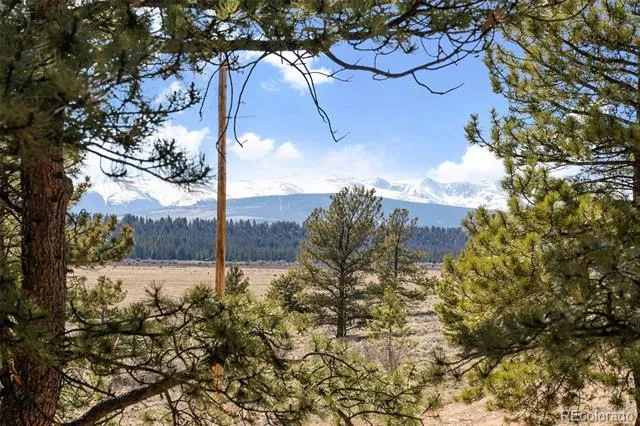 96 County Road 7 Fairplay, CO 80440