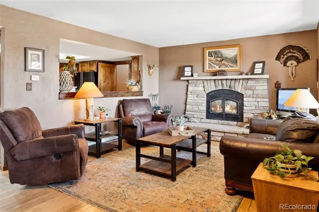 96 County Road 7 Fairplay, CO 80440