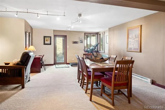 96 County Road 7 Fairplay, CO 80440
