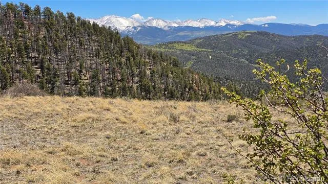 Lots 5817 & 5818 Balleroy & Covington Road Fort Garland, CO 81133