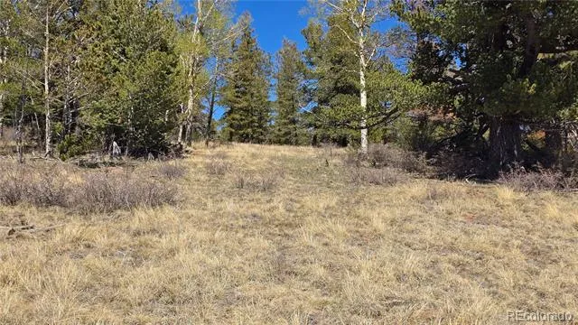 Lots 5817 & 5818 Balleroy & Covington Road Fort Garland, CO 81133