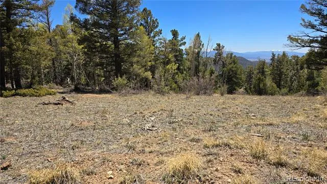 Lots 5817 & 5818 Balleroy & Covington Road Fort Garland, CO 81133