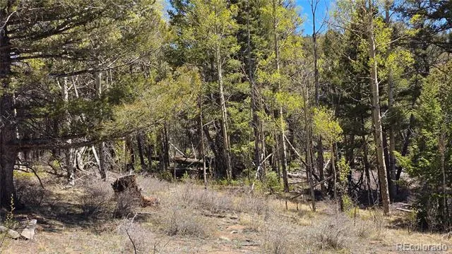 Lots 5817 & 5818 Balleroy & Covington Road Fort Garland, CO 81133