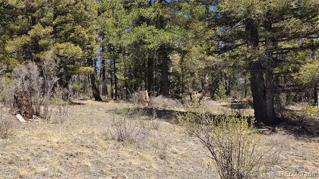 Lots 5817 & 5818 Balleroy & Covington Road Fort Garland, CO 81133