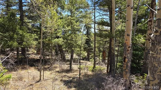 Lots 5817 & 5818 Balleroy & Covington Road Fort Garland, CO 81133