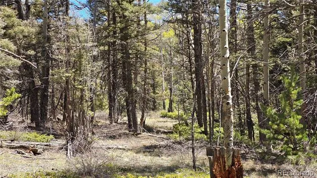 Lots 5817 & 5818 Balleroy & Covington Road Fort Garland, CO 81133