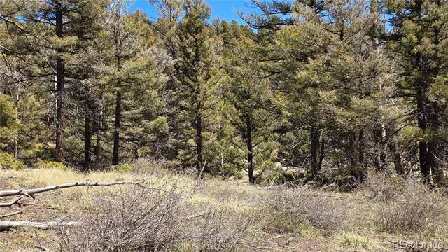 Lots 5817 & 5818 Balleroy & Covington Road Fort Garland, CO 81133