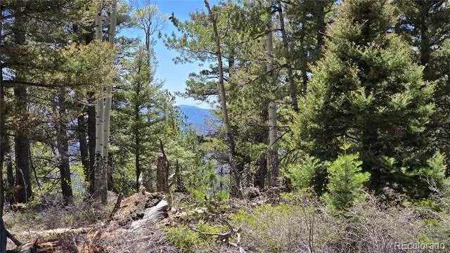Lots 5817 & 5818 Balleroy & Covington Road Fort Garland, CO 81133