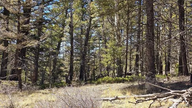 Lots 5817 & 5818 Balleroy & Covington Road Fort Garland, CO 81133