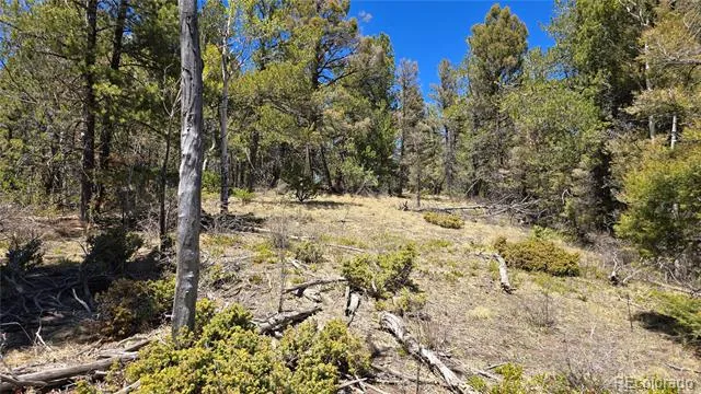 Lots 5817 & 5818 Balleroy & Covington Road Fort Garland, CO 81133