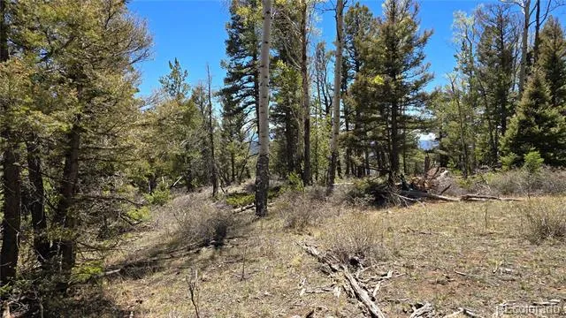 Lots 5817 & 5818 Balleroy & Covington Road Fort Garland, CO 81133
