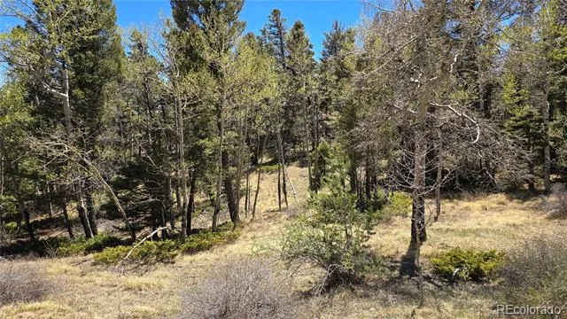 Lots 5817 & 5818 Balleroy & Covington Road Fort Garland, CO 81133