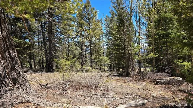 Lots 5817 & 5818 Balleroy & Covington Road Fort Garland, CO 81133