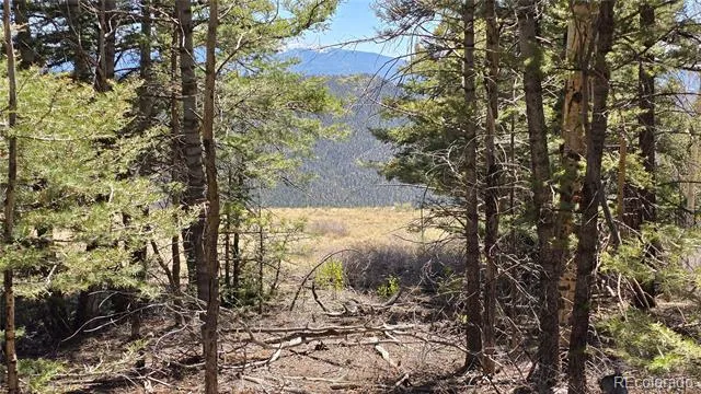 Lots 5817 & 5818 Balleroy & Covington Road Fort Garland, CO 81133