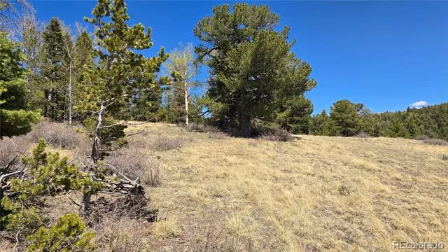 Lots 5817 & 5818 Balleroy & Covington Road Fort Garland, CO 81133