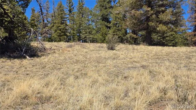 Lots 5817 & 5818 Balleroy & Covington Road Fort Garland, CO 81133