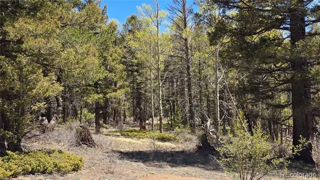 Lots 5817 & 5818 Balleroy & Covington Road Fort Garland, CO 81133