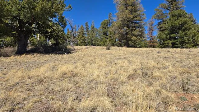 Lots 5817 & 5818 Balleroy & Covington Road Fort Garland, CO 81133