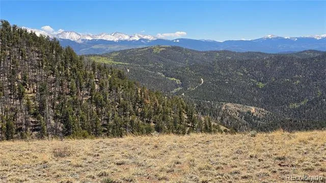 Lots 5817 & 5818 Balleroy & Covington Road Fort Garland, CO 81133