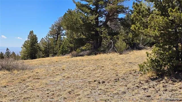 Lots 5817 & 5818 Balleroy & Covington Road Fort Garland, CO 81133
