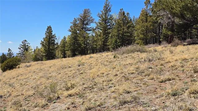 Lots 5817 & 5818 Balleroy & Covington Road Fort Garland, CO 81133