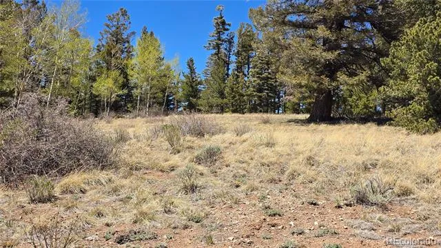 Lots 5817 & 5818 Balleroy & Covington Road Fort Garland, CO 81133