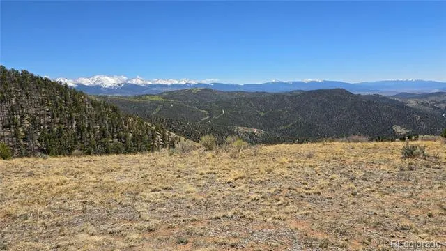 Lots 5817 & 5818 Balleroy & Covington Road Fort Garland, CO 81133