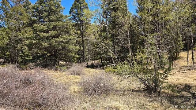 Lots 5817 & 5818 Balleroy & Covington Road Fort Garland, CO 81133