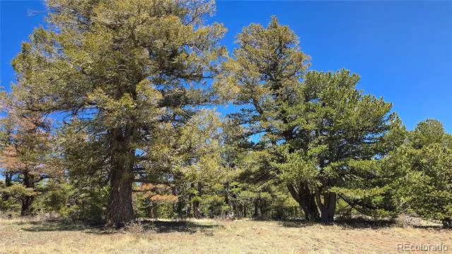 Lots 5817 & 5818 Balleroy & Covington Road Fort Garland, CO 81133